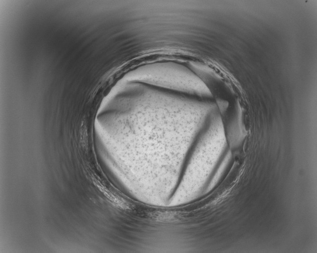 X0000081560969200702121351