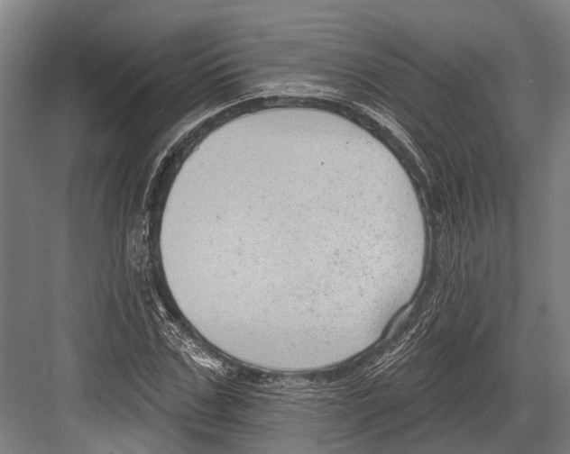 X0000081560971200702121351