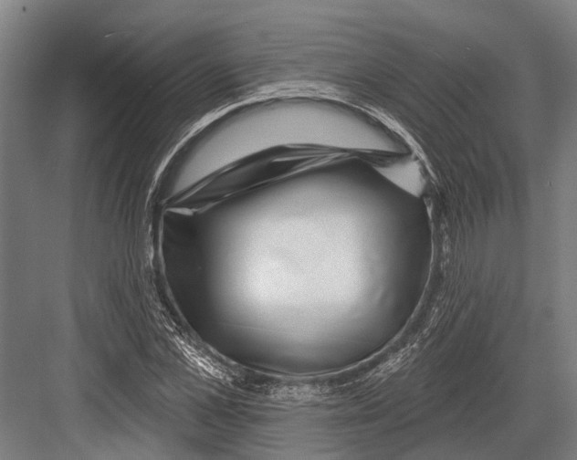 X0000081560973200702121351