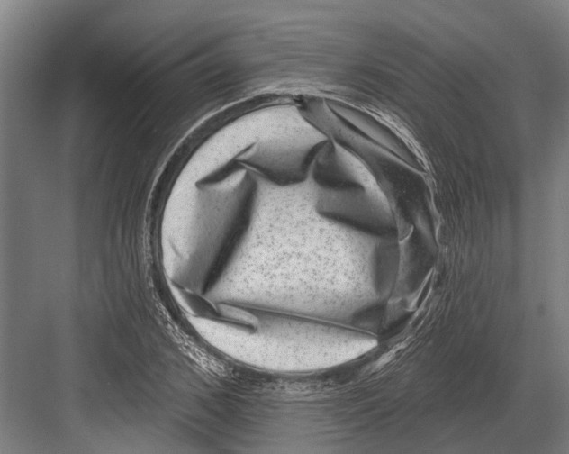 X0000081560976200702121351