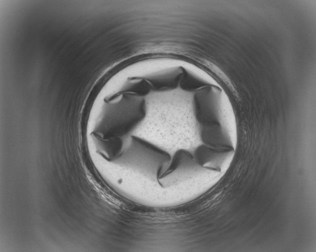X0000081560980200702121351