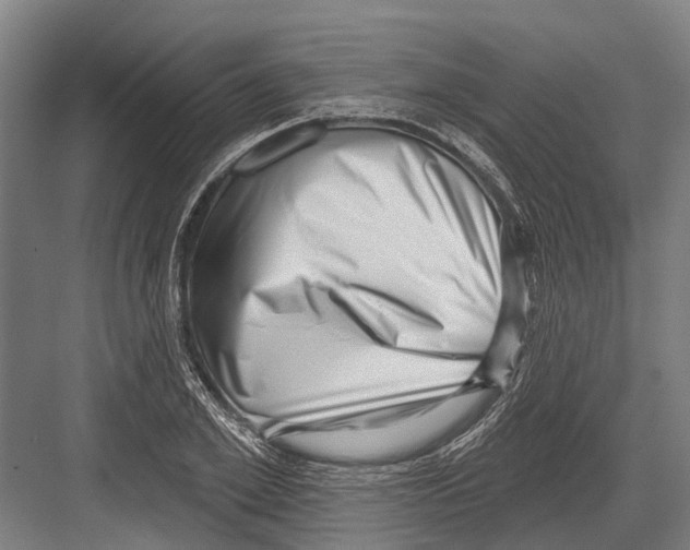 X0000081560981200702121351