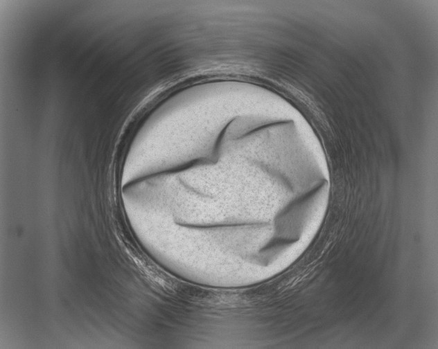 X0000081560982200702121351