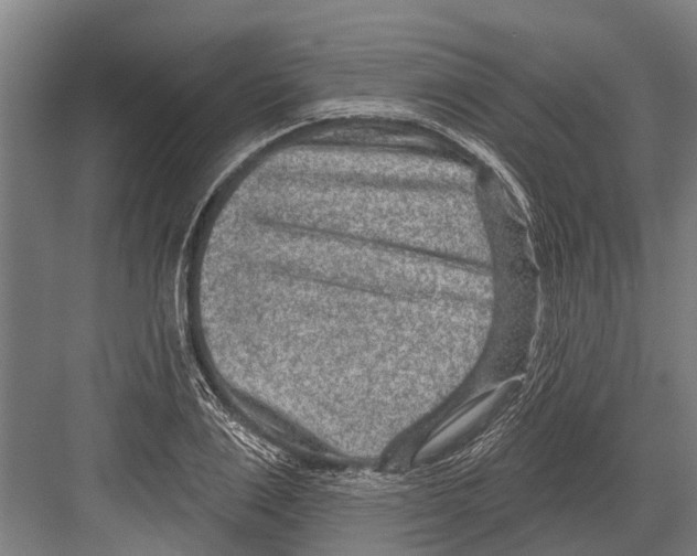 X0000081560983200702121351