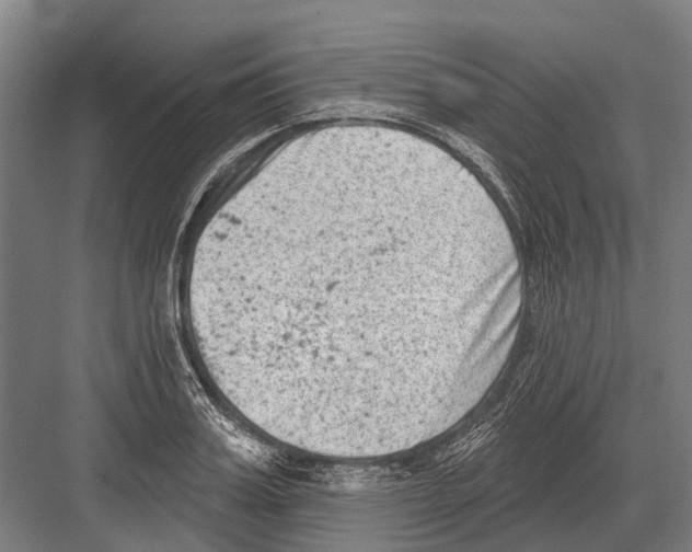 X0000081560987200702121351