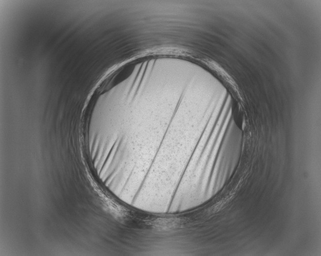 X0000081560989200702121351