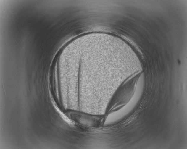 X0000081560991200702121351