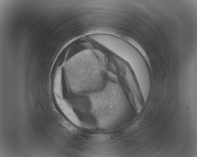 X0000081560996200702121351