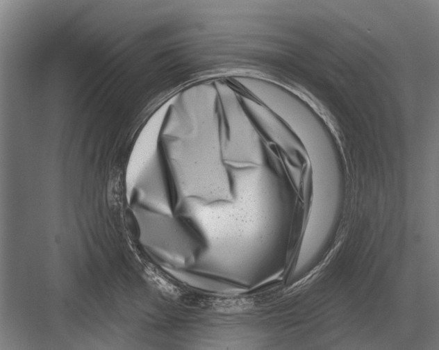 X0000081561001200702121351