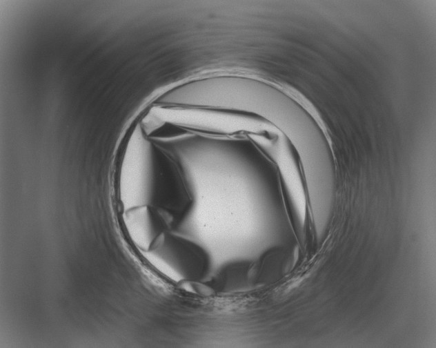 X0000081561005200702121351