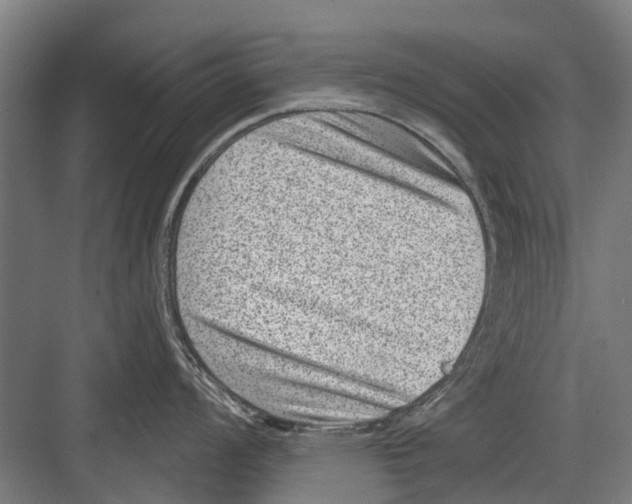 X0000081561008200702121351