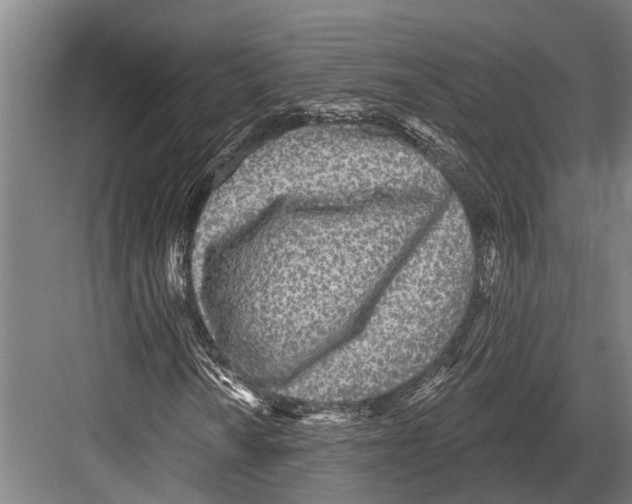 X0000081561010200702121350