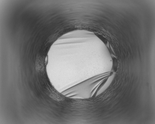 X0000081561012200702121350