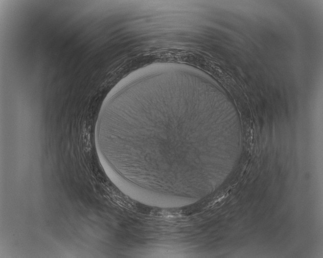 X0000081561013200702121350