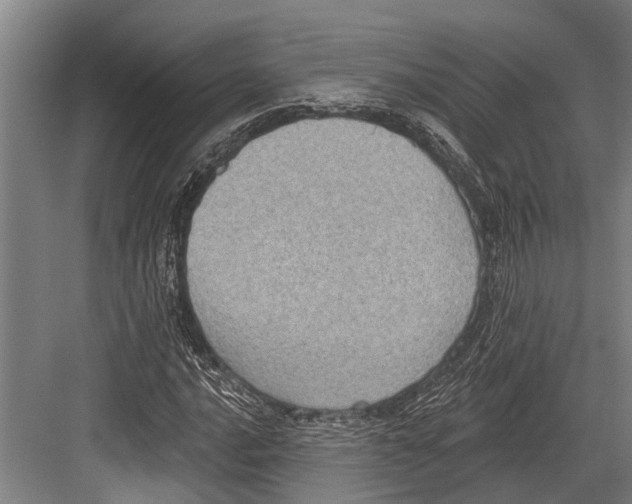 X0000081561016200702121350