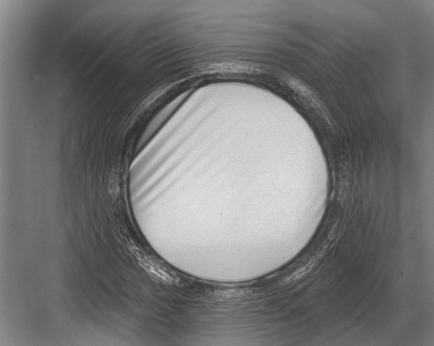 X0000081561017200702121350