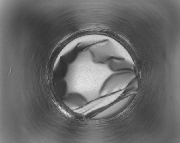 X0000081561018200702121350