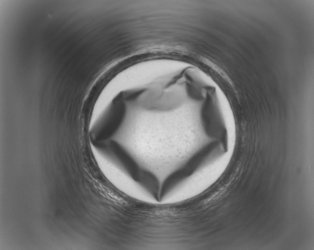X0000081561021200702121350