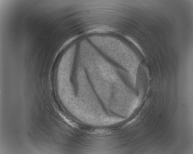 X0000081561026200702121350