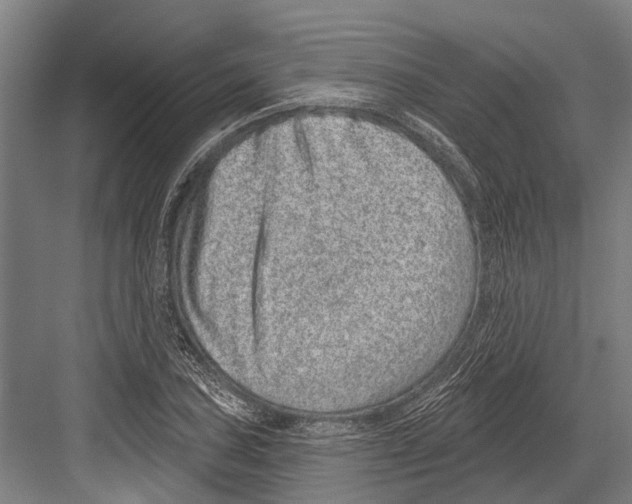 X0000081561027200702121350