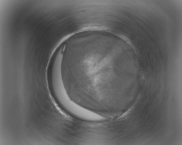 X0000081561030200702121350