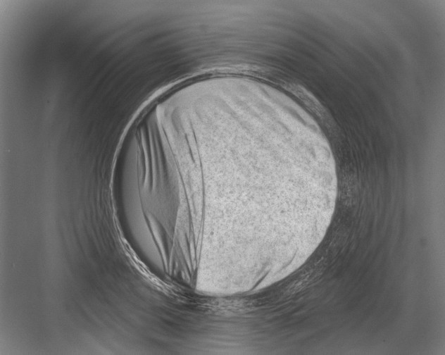 X0000081561036200702121350