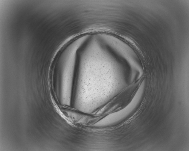 X0000081561038200702121350