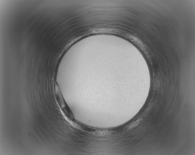 X0000081561041200702121350