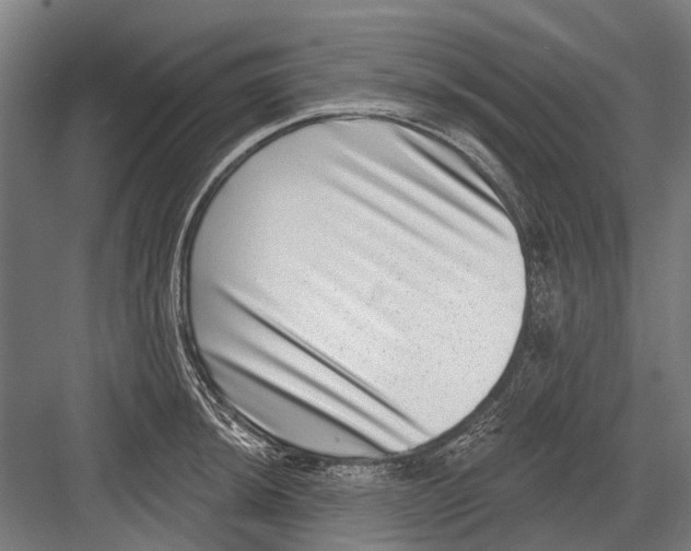 X0000081561044200702121350