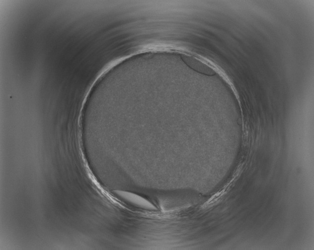X0000081561045200702121350