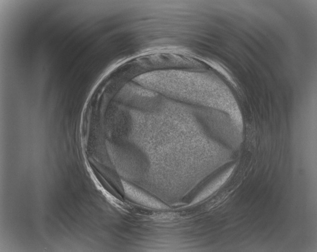 X0000081561046200702121350