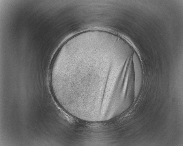 X0000081561048200702121350