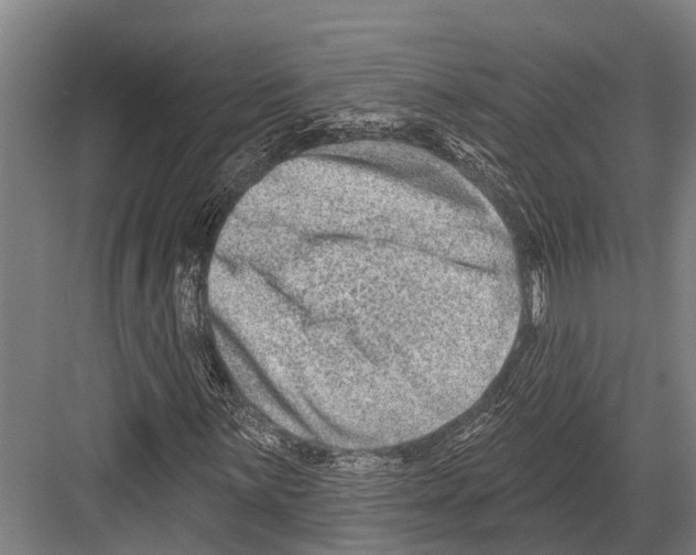 X0000081561059200702121350