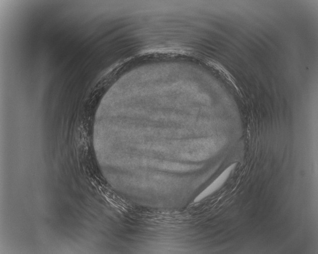 X0000081561064200702121350