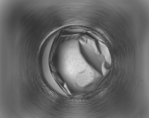 X0000081561069200702121350
