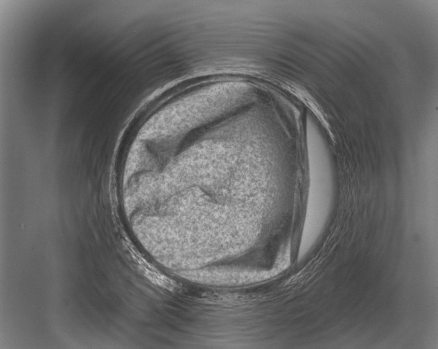 X0000081561072200702121350