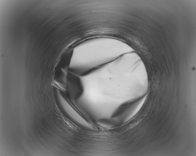 X0000081561073200702121349