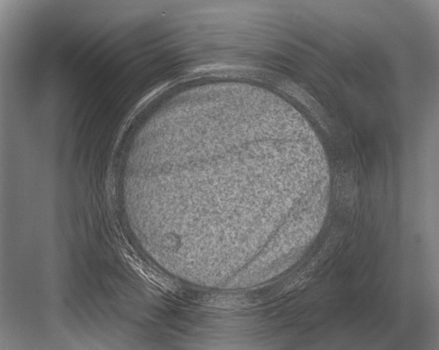 X0000081561074200702121349