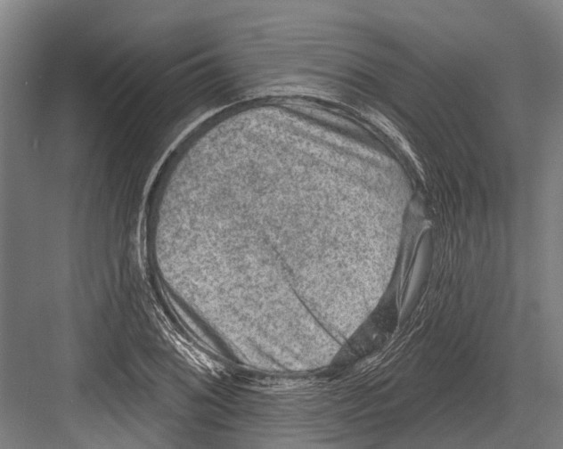 X0000081561076200702121349