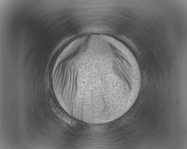 X0000081561078200702121349