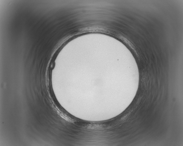 X0000081561082200702121349