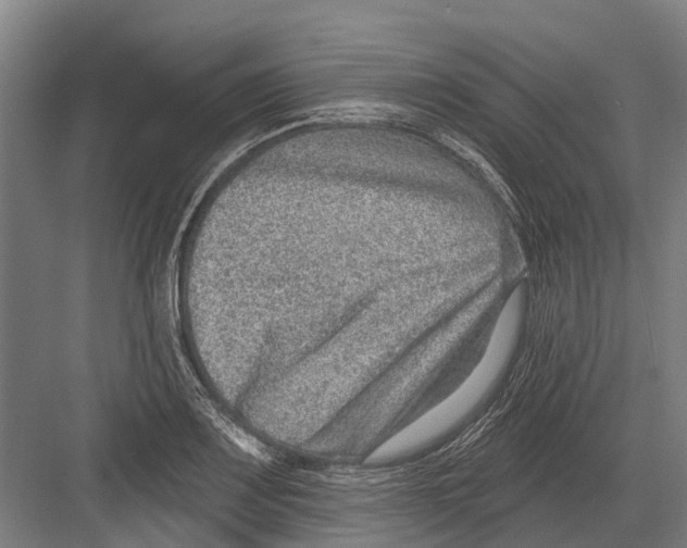 X0000081561083200702121349