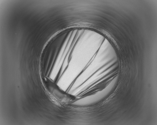 X0000081561085200702121349