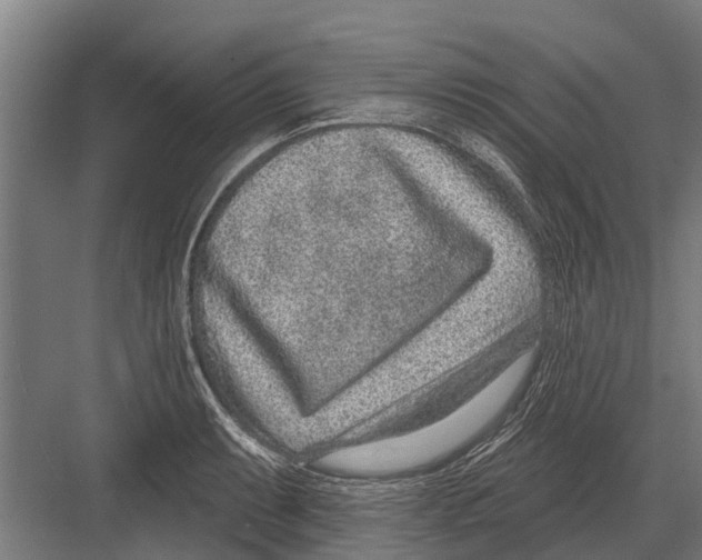 X0000081561087200702121349