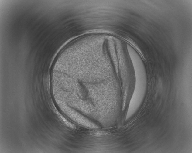 X0000081561092200702121349