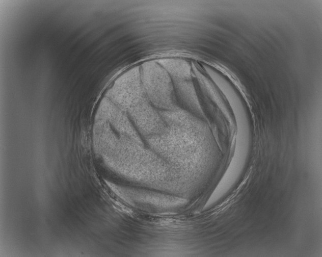 X0000081561097200702121349