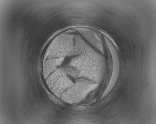 X0000081561101200702121349
