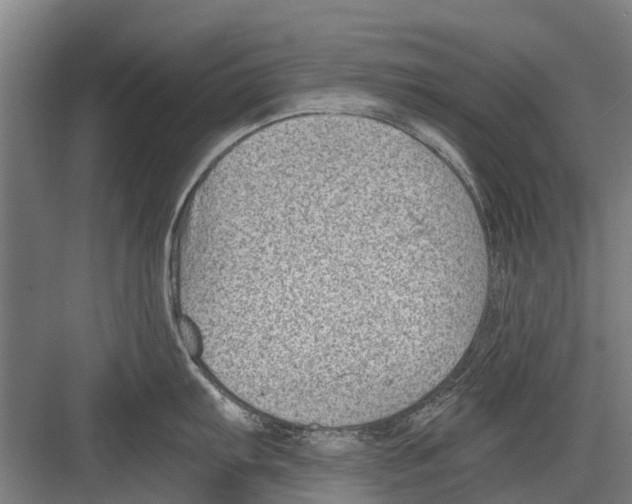 X0000081561103200702121349