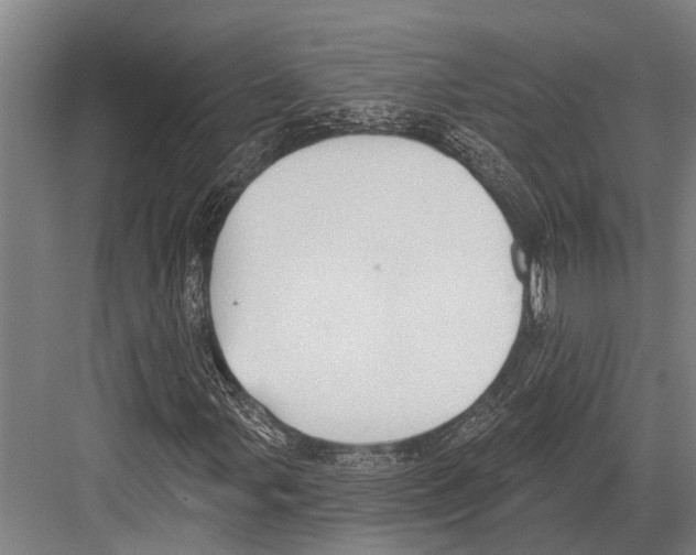 X0000081561107200702121348