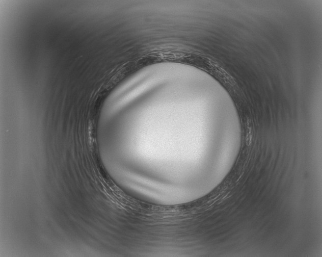 X0000081561108200702121348